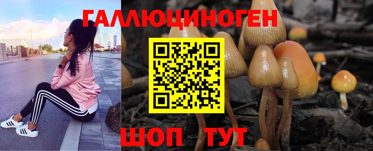 купить наркоту  Галлюциногенные грибы мухоморы  Барабинск  Вход с VPN  Псилоцибиновые грибы ЛСД 